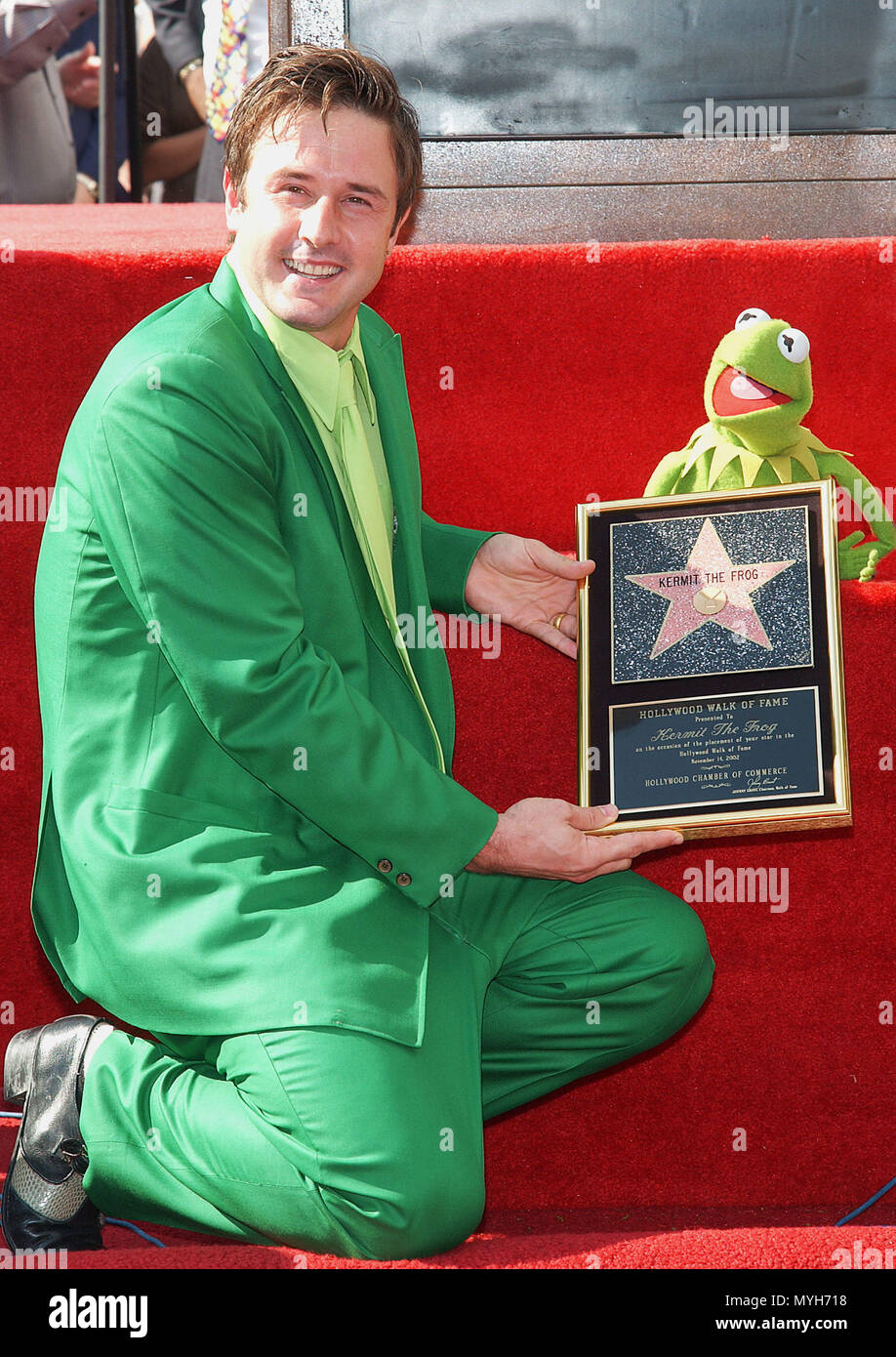 Das Tragen der gleichen grünen Anzug wie Kermit der Frosch, David Arquette  mit Kermit der Frosch an der 2208Th Stern auf dem Hollywood Blvd. und Walk  of Fame in Los Angeles. November