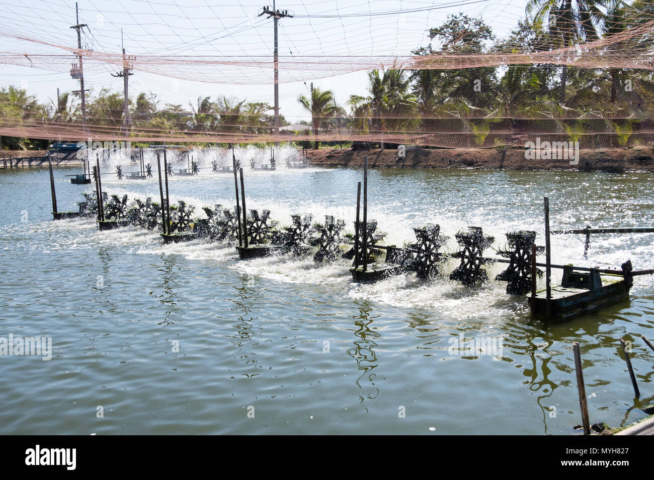 Wasser lüftung Turbine in der Landwirtschaft Aquatic. Garnelen und Fisch Brüterei in Thailand. Stockfoto