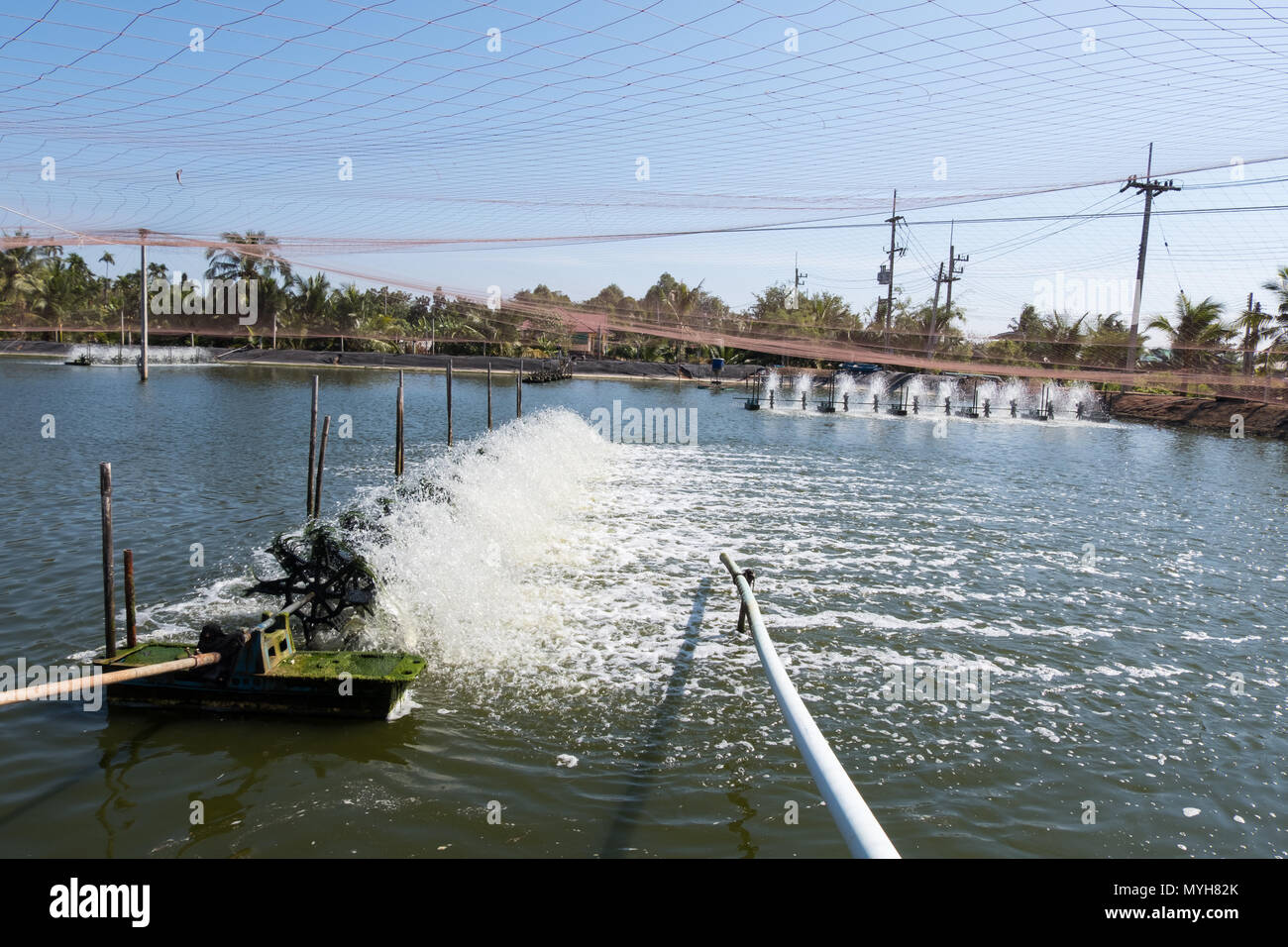 Wasser lüftung Turbine in der Landwirtschaft Aquatic. Garnelen und Fisch Brüterei in Thailand. Stockfoto