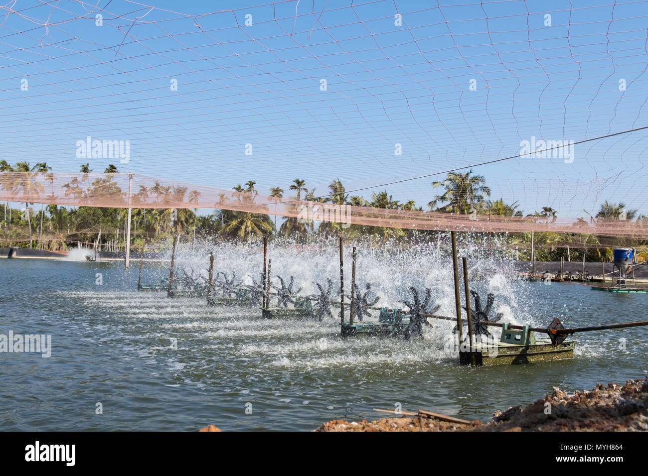 Wasser lüftung Turbine in der Landwirtschaft Aquatic. Garnelen und Fisch Brüterei in Thailand. Stockfoto