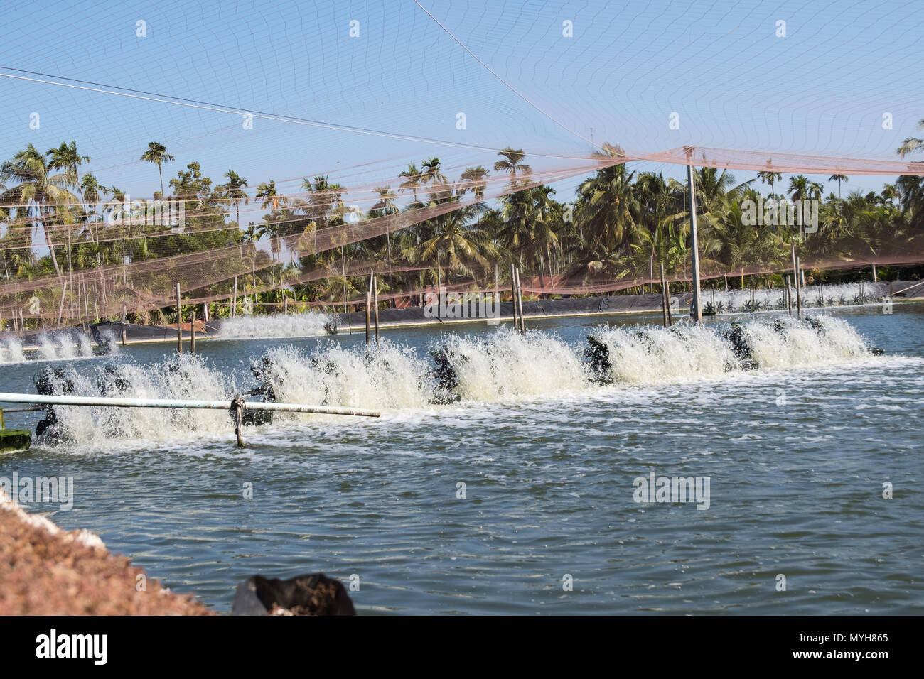 Wasser lüftung Turbine in der Landwirtschaft Aquatic. Garnelen und Fisch Brüterei in Thailand. Stockfoto