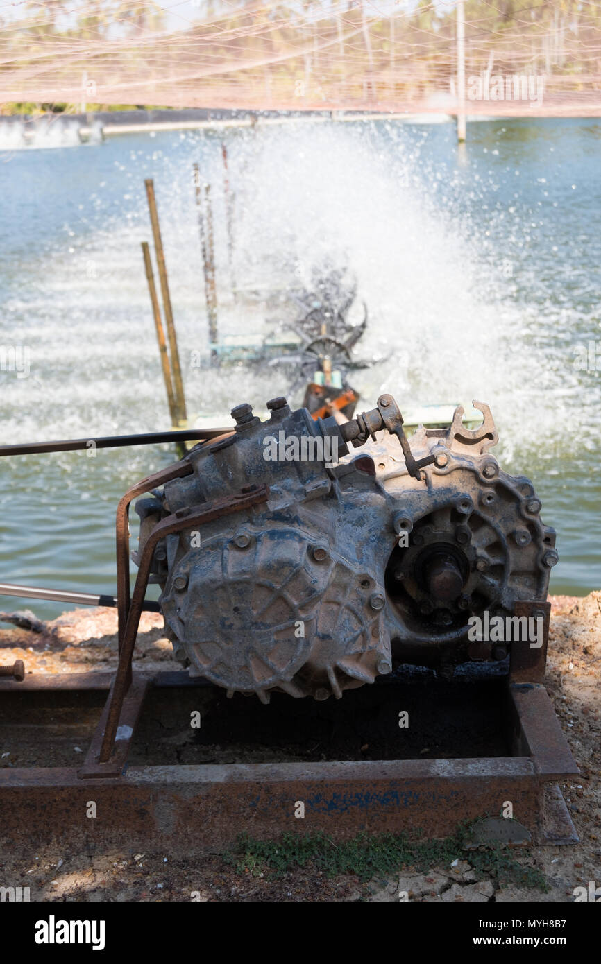 Wasser lüftung Turbine in der Landwirtschaft Aquatic. Garnelen und Fisch Brüterei in Thailand. Stockfoto