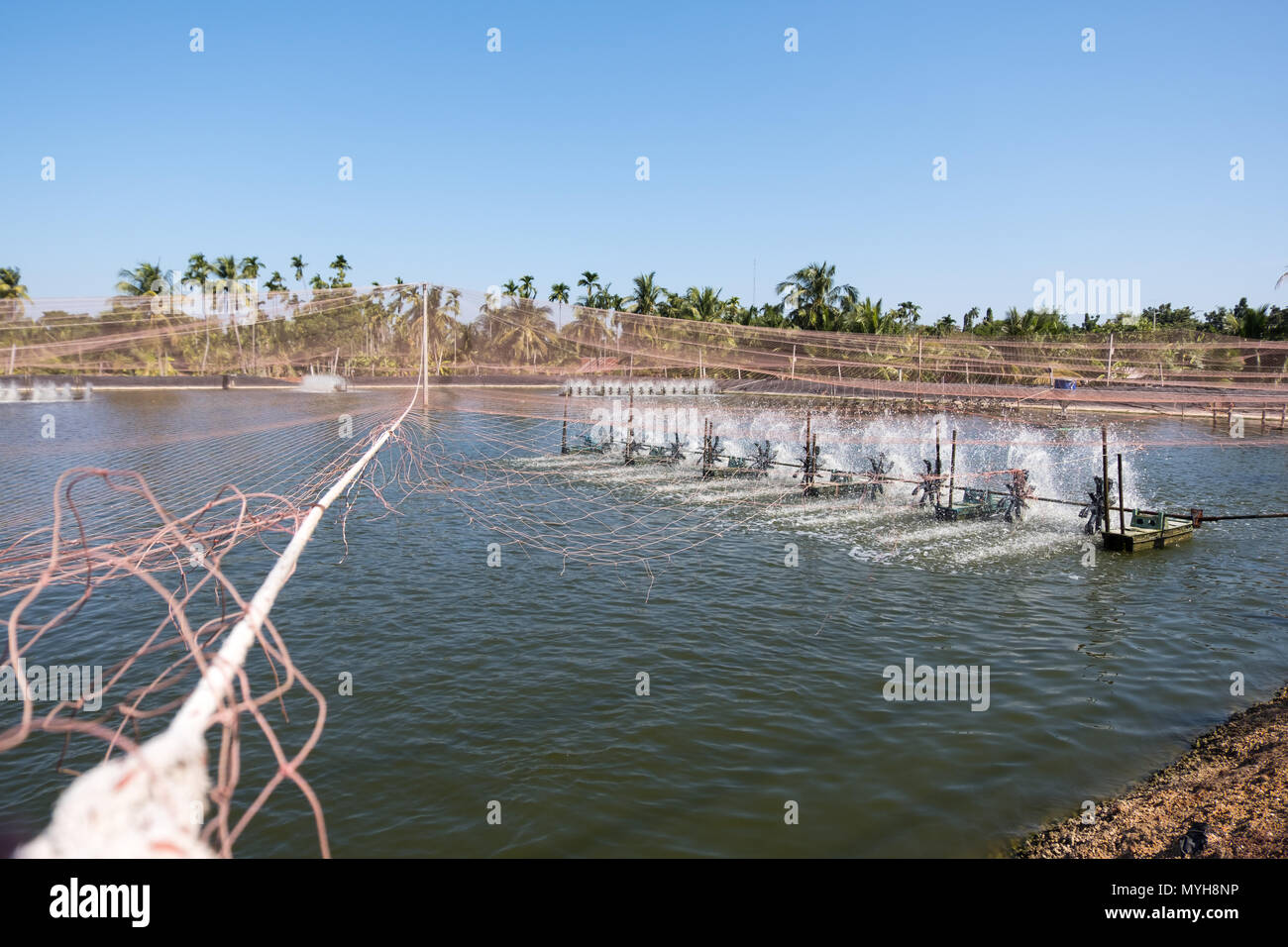 Wasser lüftung Turbine in der Landwirtschaft Aquatic. Garnelen und Fisch Brüterei in Thailand. Stockfoto