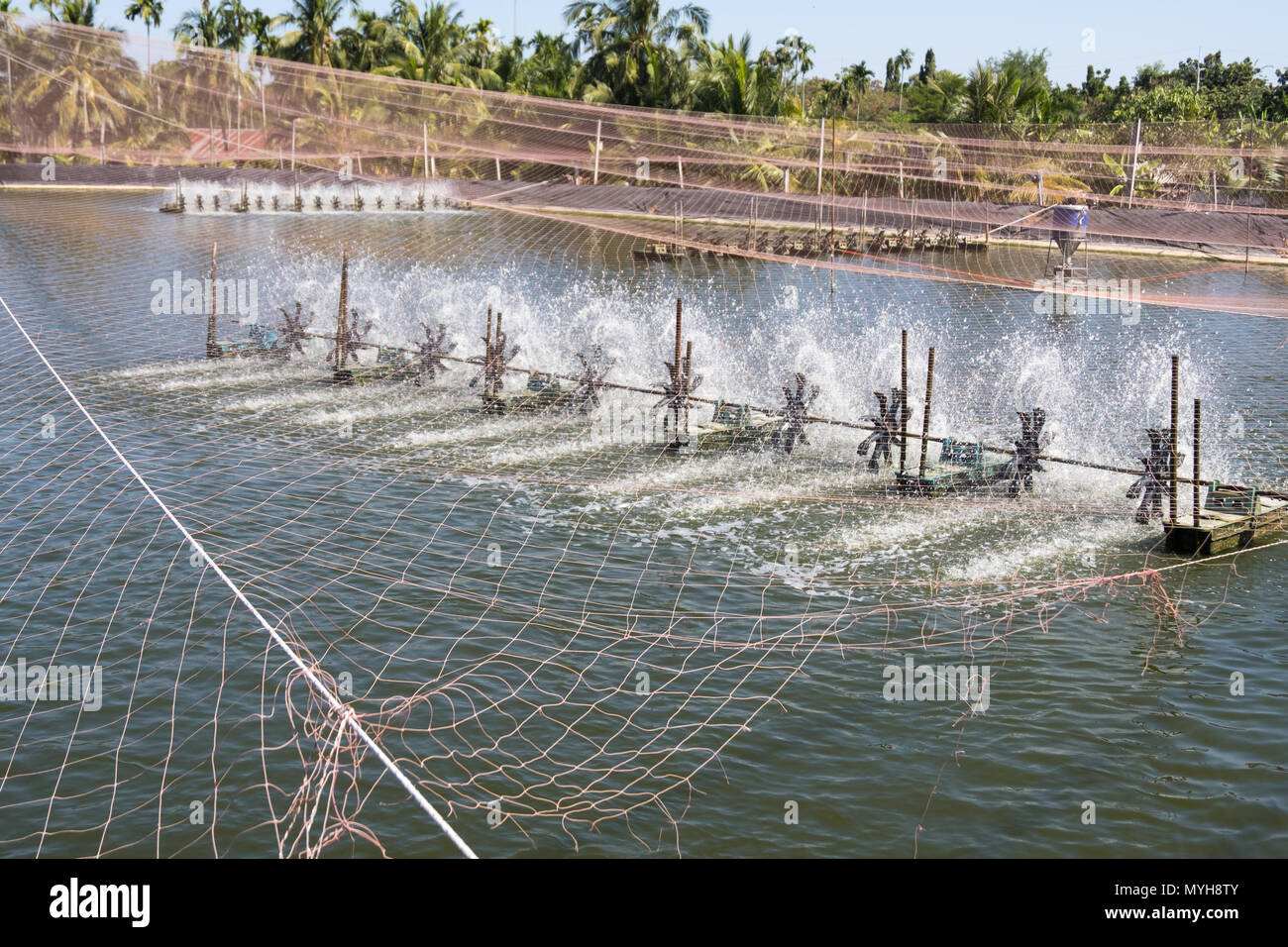 Wasser lüftung Turbine in der Landwirtschaft Aquatic. Garnelen und Fisch Brüterei in Thailand. Stockfoto