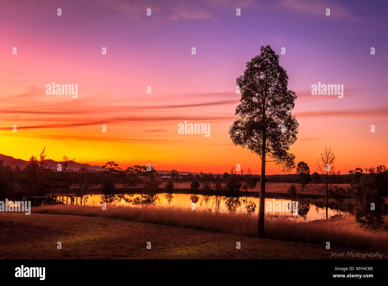Sonnenuntergang über einen Damm im Hunter Valley Weinberge Stockfoto