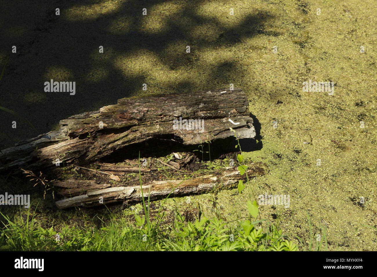 Konstacin jeziorna Fotos und Bildmaterial in hoher Auflösung Alamy