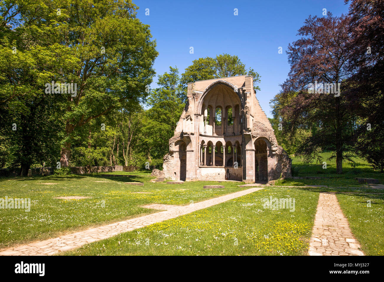 Europa, Deutschland, Nordrhein-Westfalen, Ruinen der Abtei Heisterbach in der Nähe von Königswinter, ehemalige Zisterzienserkirche. Europa, Deutschland, Nordrhein-West Stockfoto