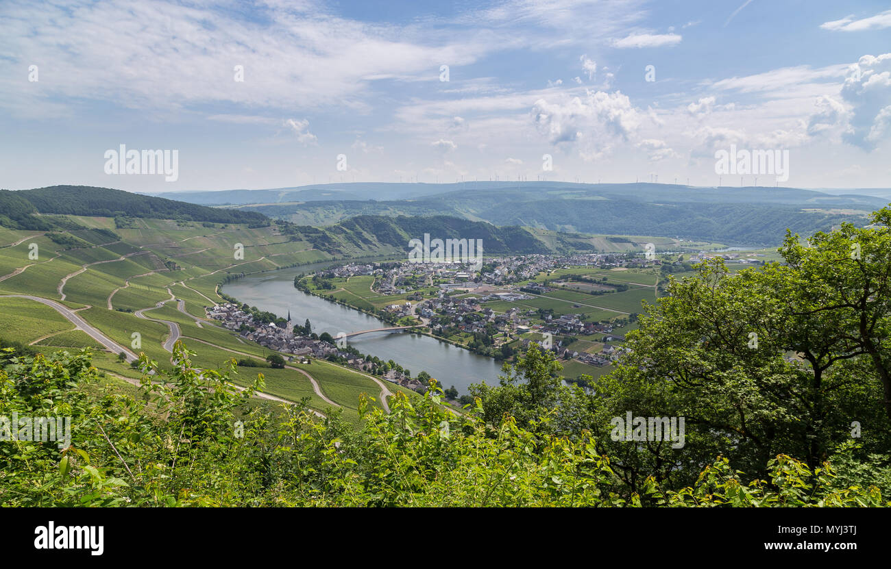 Piesport Panorama an der Mosel Deutschland. Stockfoto