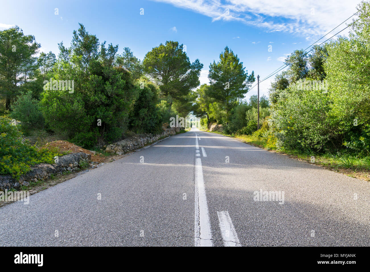 Mallorca, endlose kerzengerade Straße durch grüne Landschaft mit blauem Himmel Stockfoto