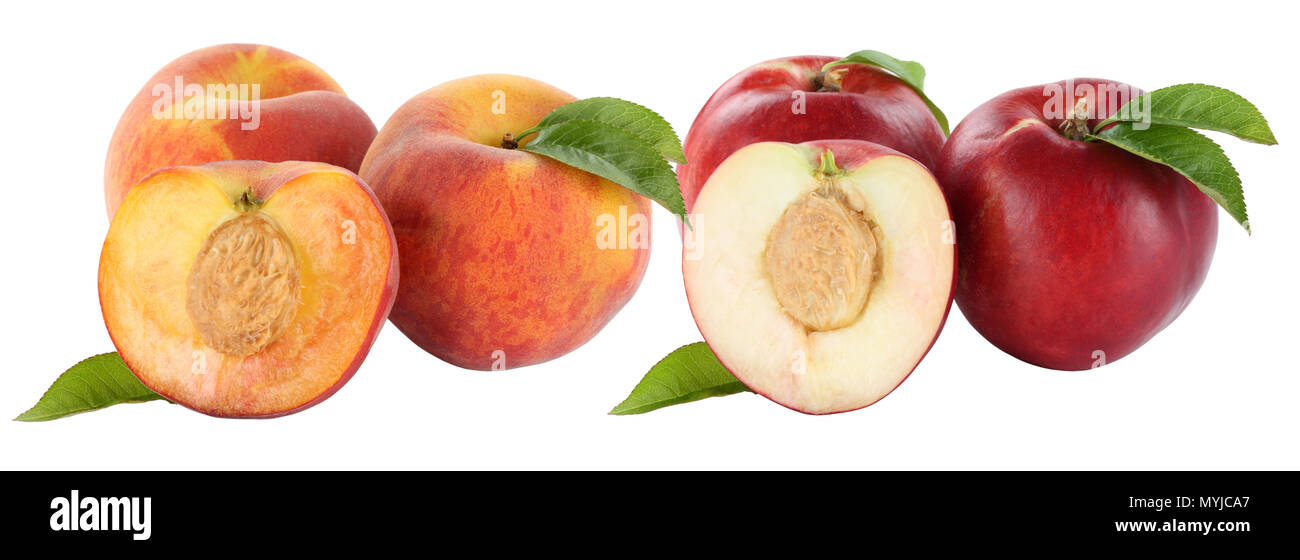Pfirsich Pfirsiche Obst Früchte und Nektarine Nektarinen auf weißem Hintergrund Stockfoto