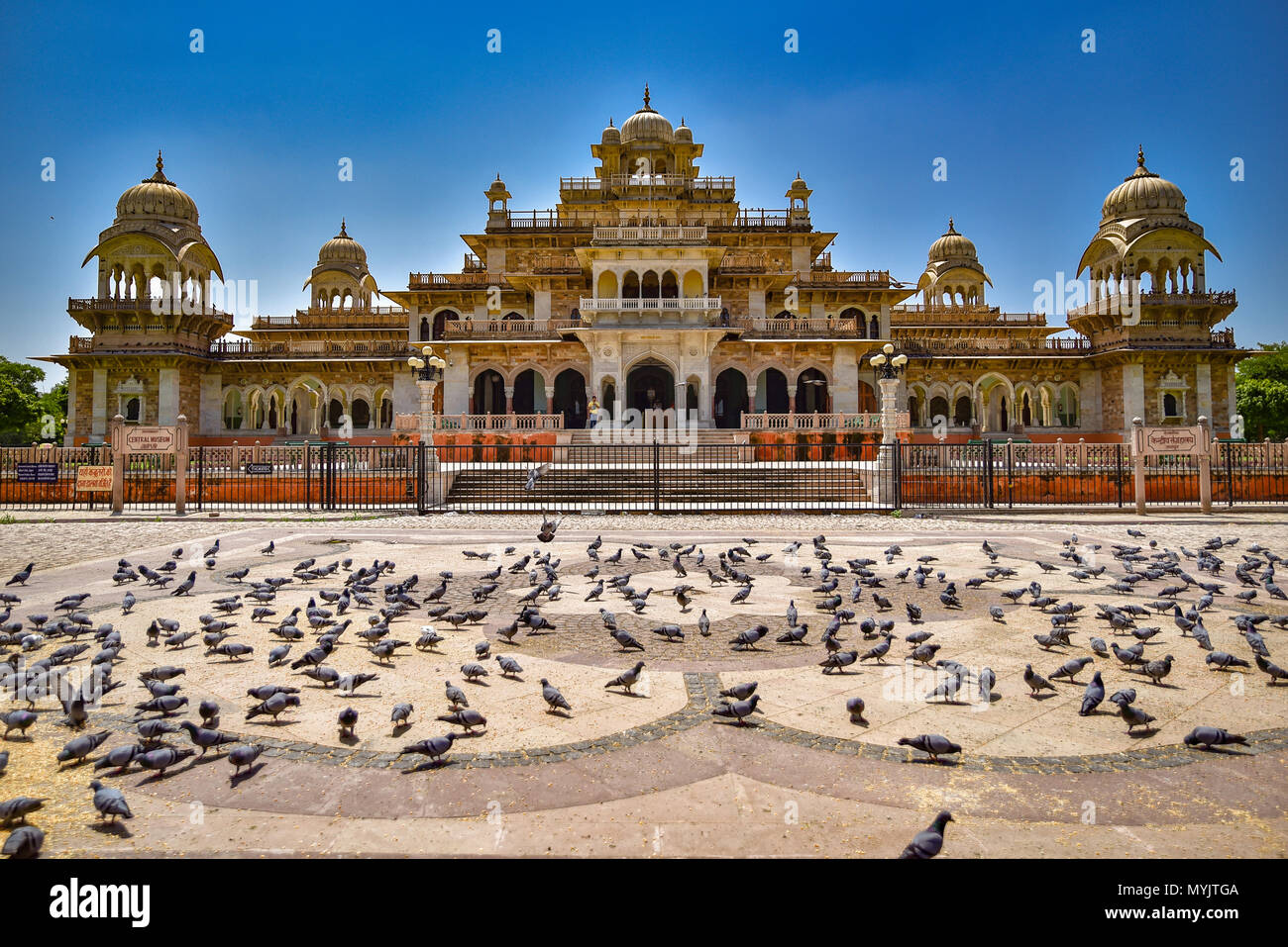 Albert Hall Museum und Platz mit Tauben, Jaipur Stockfoto