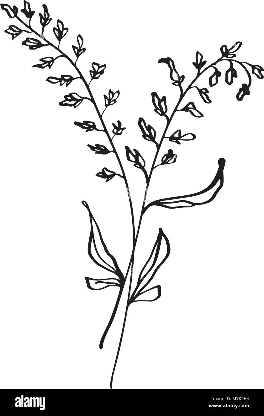 Hand gezeichnet moderne Blumen Zeichnung und Skizze floral Mit line-Kunst, Vector Illustration Hochzeit Design für T-Shirts, Taschen, Poster, Grußkarten, auf weißem Hintergrund Stock Vektor