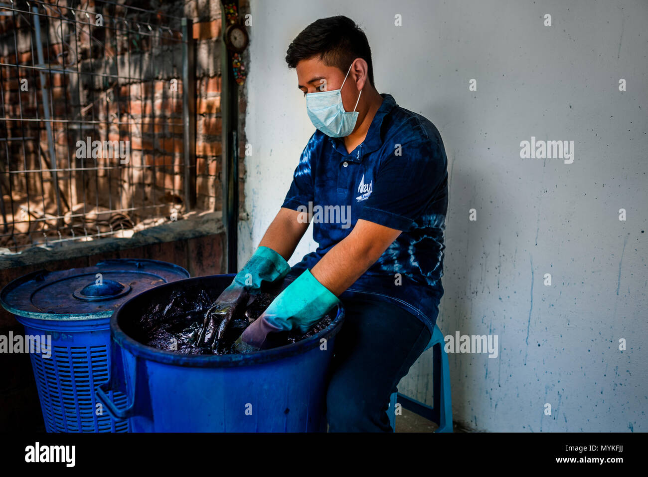 Eine Salvadorianische textile Dyer taucht ein Tuch gewickelt in die Indigo Färbebad gehalten in einem Handwerklichen Kleidung Workshop in Santiago Nonualco, El Salvador. Stockfoto