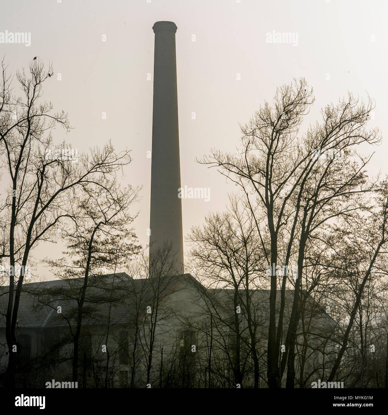 Factory Schornstein im Nebel, Auvergne, Frankreich Stockfoto