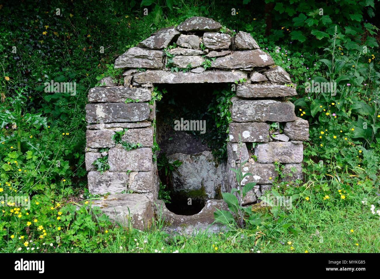 Neun Brunnen Naw Ffynhonnau letzte Ruhestätte für Pilger vor der Ankunft in St. Davids Pembrokeshire Wales cymru GROSSBRITANNIEN Stockfoto