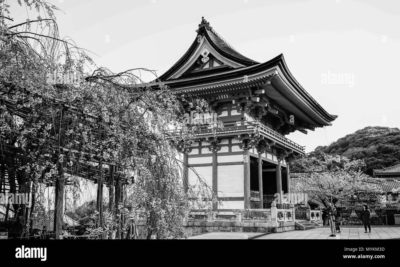 Kyoto, Japan - Apr 7, 2014. Antike Tempel mit Kirschblüten im Frühling in Kyoto, Japan. Stockfoto