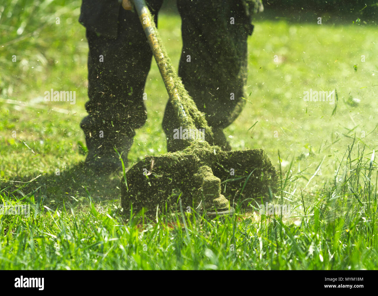 Der Mann mähen Grün wildes Gras Feld mit freischneider Rasenmäher oder Power Tool string Rasentrimmer. Um ein Gras mit dem Trimmer mähen. Trimer mäht den Rasen. Stockfoto