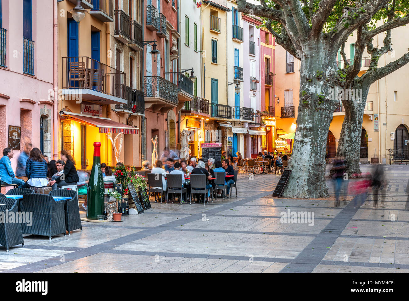 Café im Freien, Collioure, Pyrénées-orientales, Frankreich Stockfoto