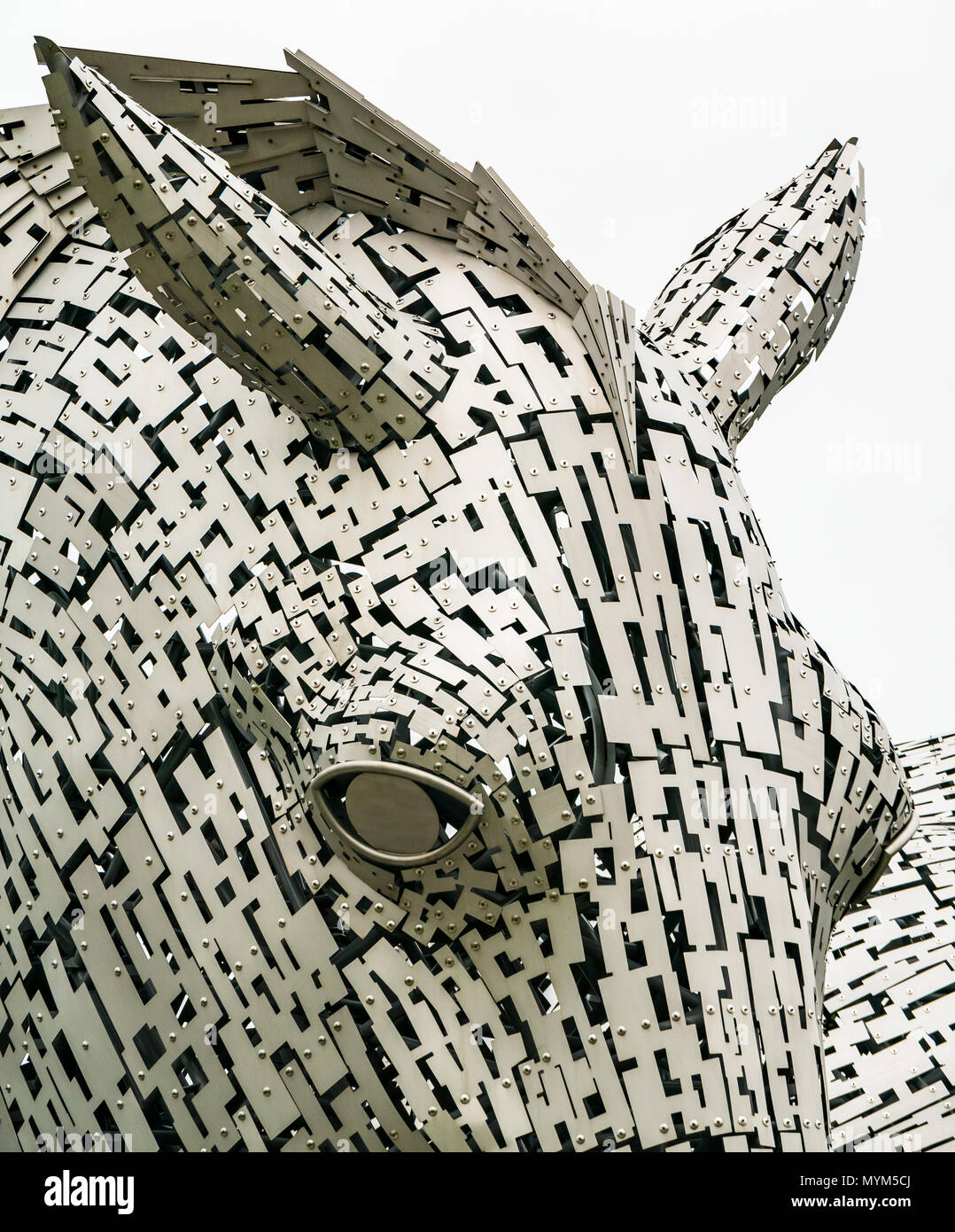 Nahaufnahme der komplexen Kopfskulptur von Metallarbeiten von Kelpie von Andy Scott, Helix Park, Falkirk, Schottland, Großbritannien Stockfoto