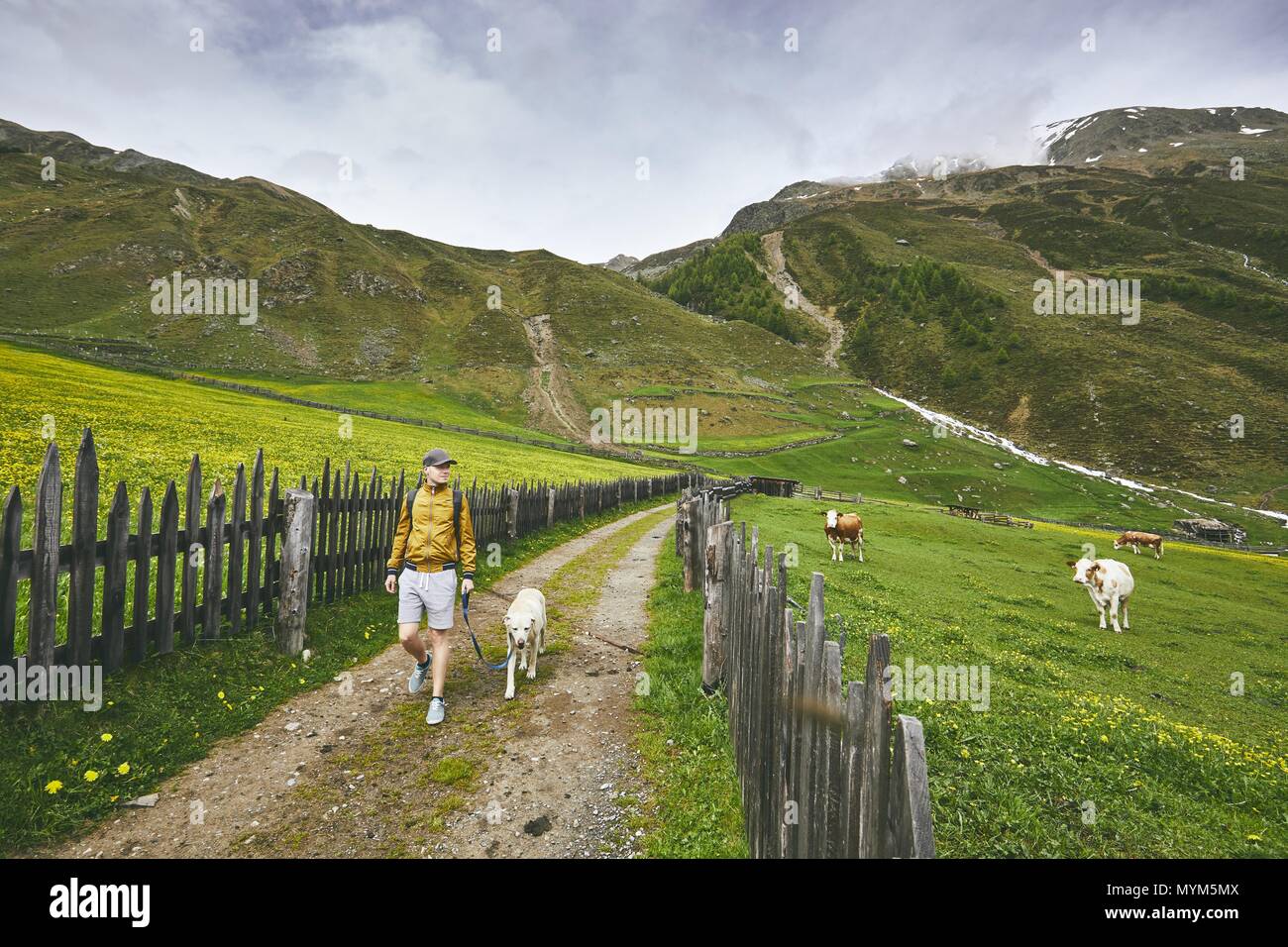 Tourist mit Hund in die Landschaft. Junge Menschen gehen mit Labrador Retriever auf Feldweg. Südtirol, Italien Stockfoto