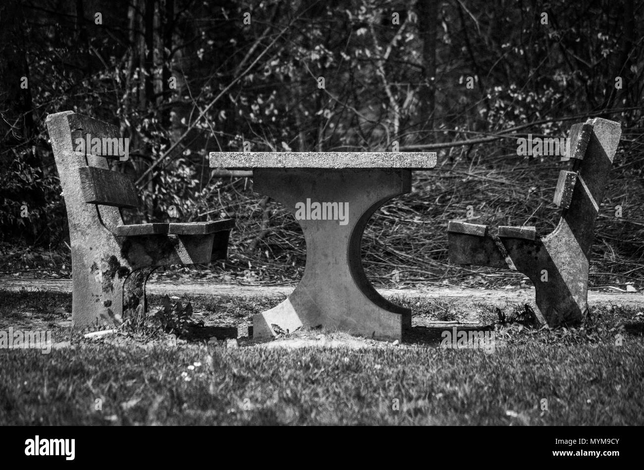 Ruhe Bänke im Park Schwarz und Weiß Stockfoto