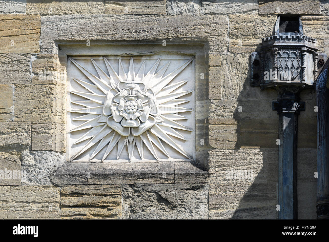 Stone Carving (von a Tudor Rose) auf einer Außenwand am Magdalen College der Universität Oxford, England. Stockfoto