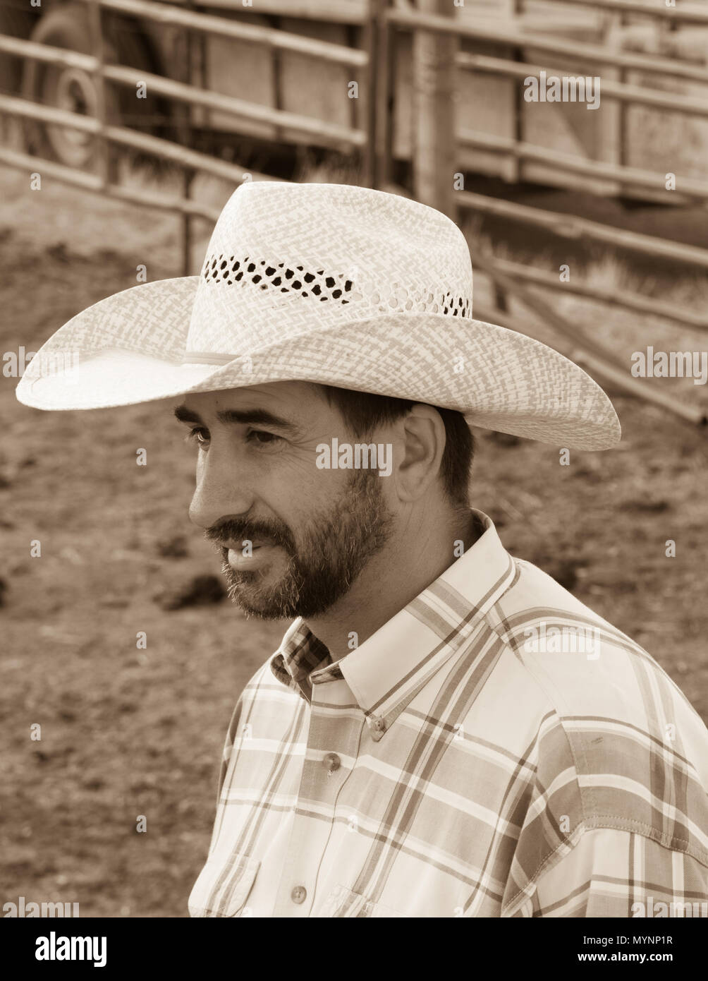 Porträt eines Cowboys Stockfoto