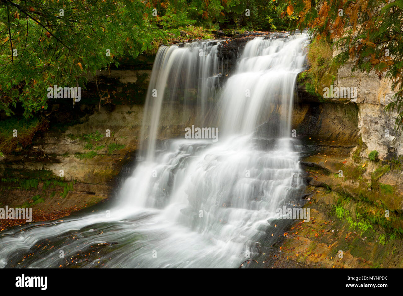 Whitefish Falls, Whitefish Falls Zustand szenische Website, Michigan Lachen Lachen Stockfoto