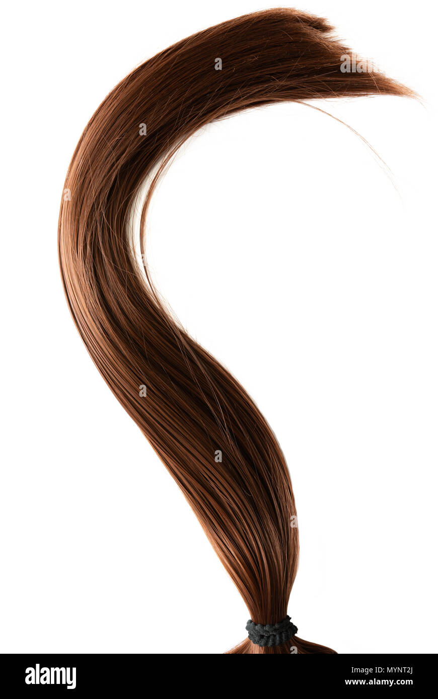 Lange gesund gerade braunes Haar Pferdeschwanz auf weißem Hintergrund Stockfoto