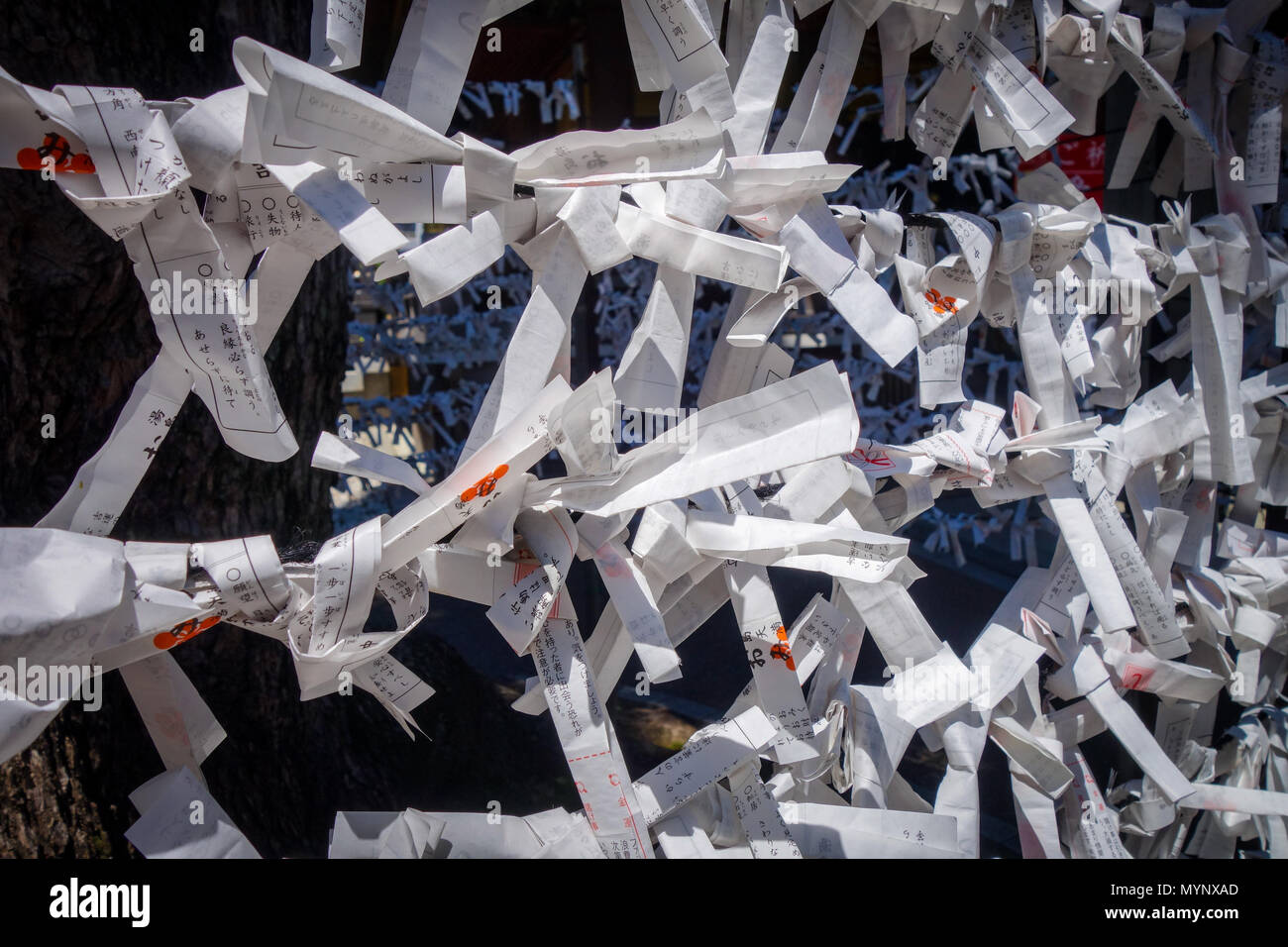 Traditionelle Omikujis in Ueno Tempel, Tokio, Japan Stockfoto