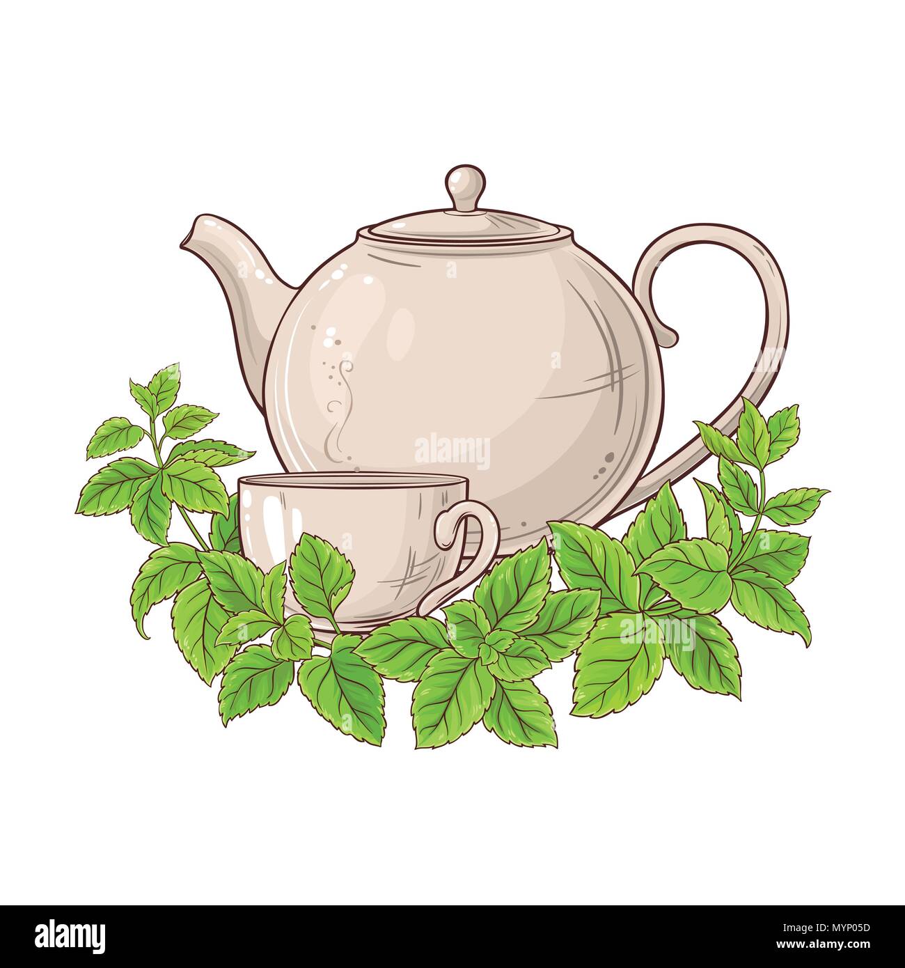 Melisse Tee Teekanne Abbildung auf weißem Hintergrund Stock Vektor