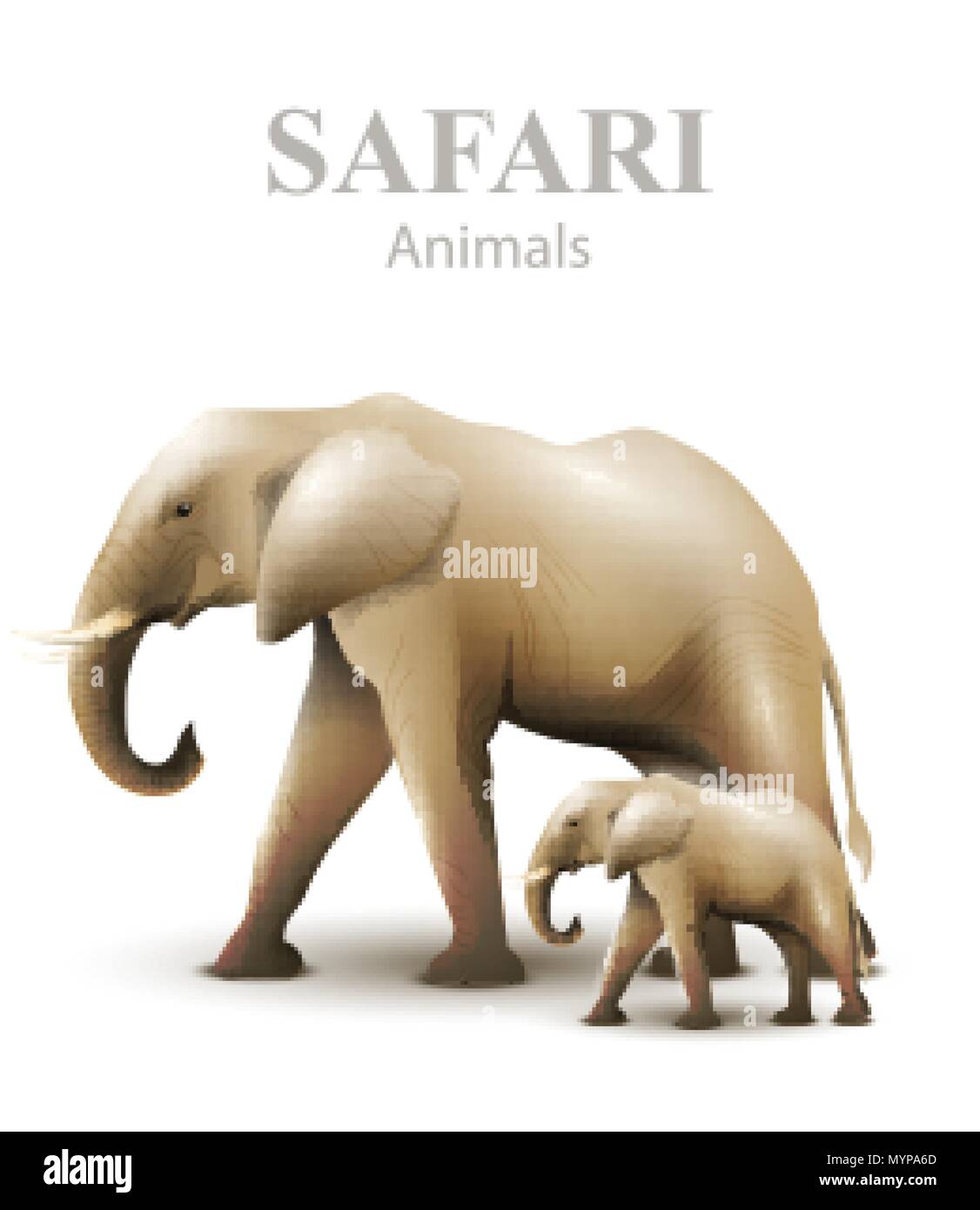 Elefanten isoliert Vector Illustration. Tiere wildlife Vorlage Stock Vektor