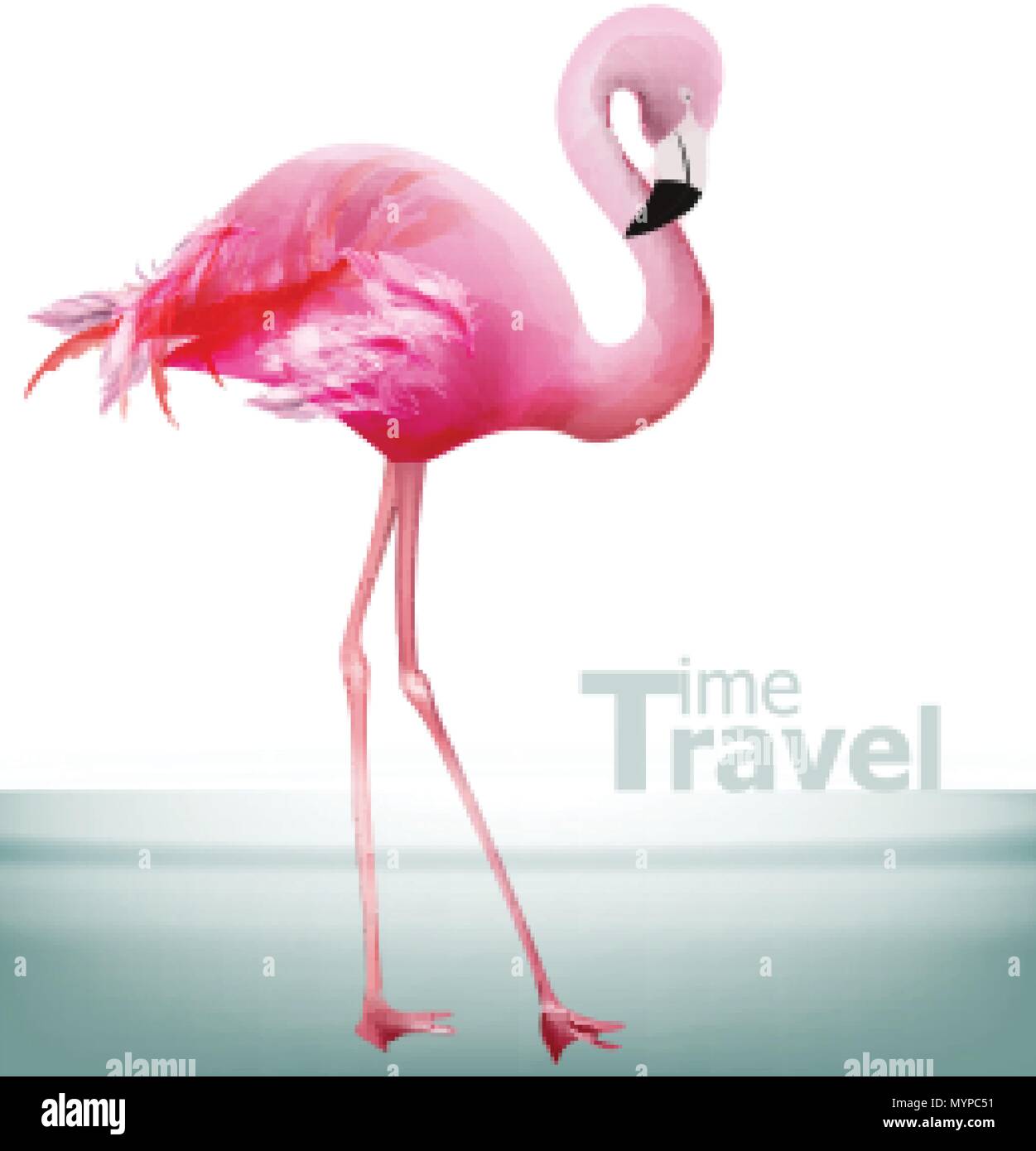 Flamingo-Vektor. Schöne rosa Vogel auf blauem Hintergrund  Stock-Vektorgrafik - Alamy