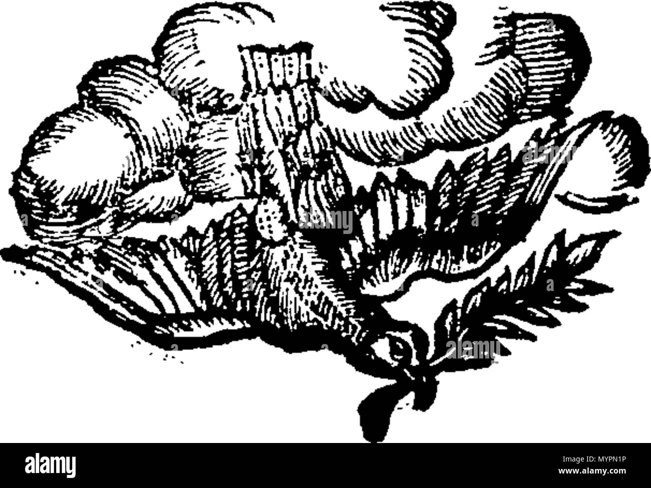 . Englisch: Fleuron aus Buch: Eine Abhandlung über die Gicht. Worin seine besondere Symptome sind mechanisch zu bilanzieren und eine rationale Methode propos 'dseine Paroxysmen zu verkürzen, sowie seine Rückkehr zu verhindern. Die Rechtsbehelfe, die sowohl Interne als auch Externe Treu veröffentlichen würde in Englisch, ohne Reserve, zum Nutzen aller, die jetzt (oder später) Leiden durch die Krankheit. Mit einem großen Vorwort, unter Hinweis auf die wahre Methode des Behandelns des King's-Böse, Wassersucht, Lepra, Geschlechtskrankheit, und Krebse; durch die hartnäckige Temperafarben werden weniger beeindruckend, und geheilt werden, mit so viel Stockfoto