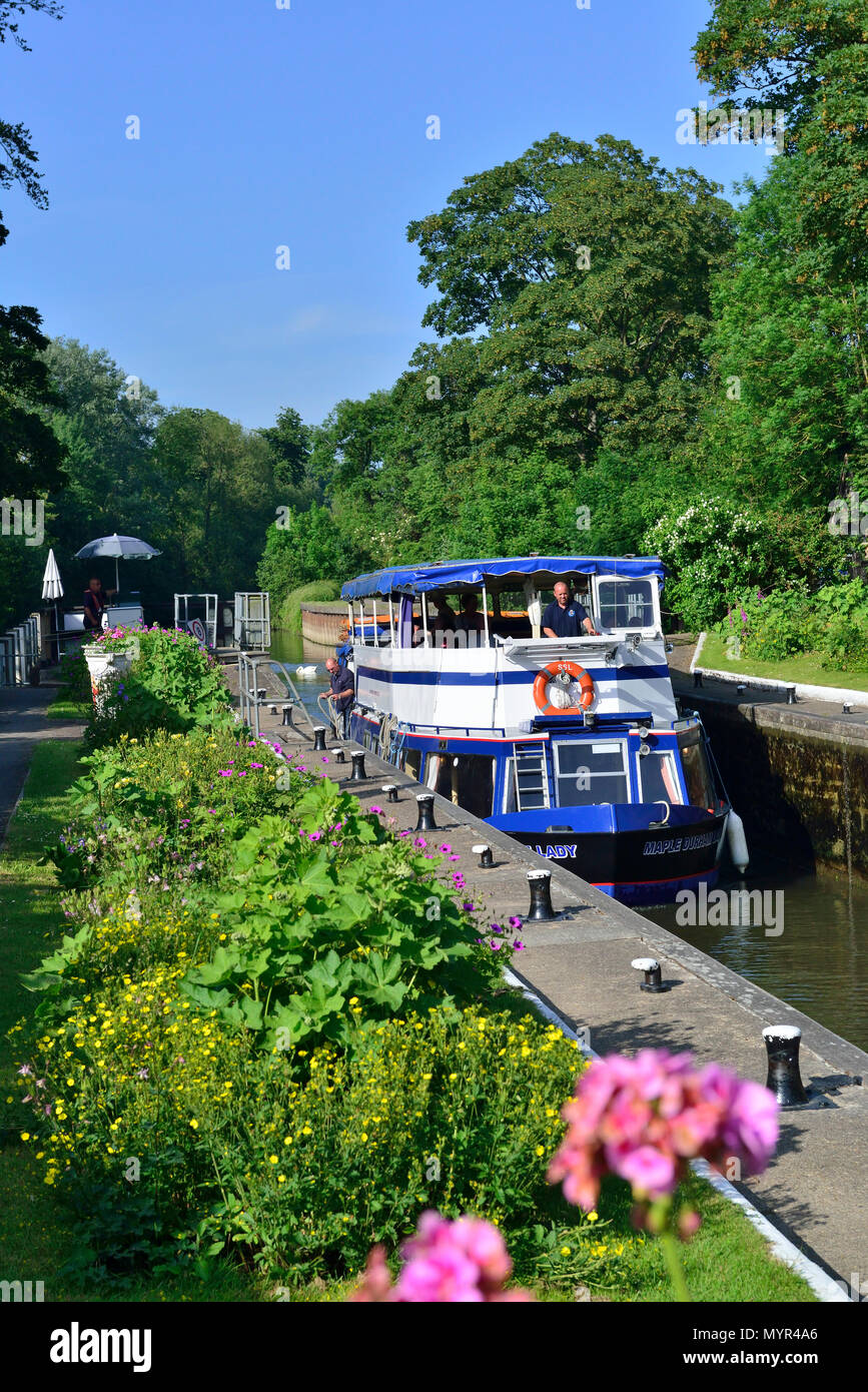 Bin apledurham Lady' Eingabe der Sonning Lock auf der Themse in der Nähe des Dorfes Sonning, Berkshire, auf ein schönes sonnigen Sommern Nachmittag Stockfoto