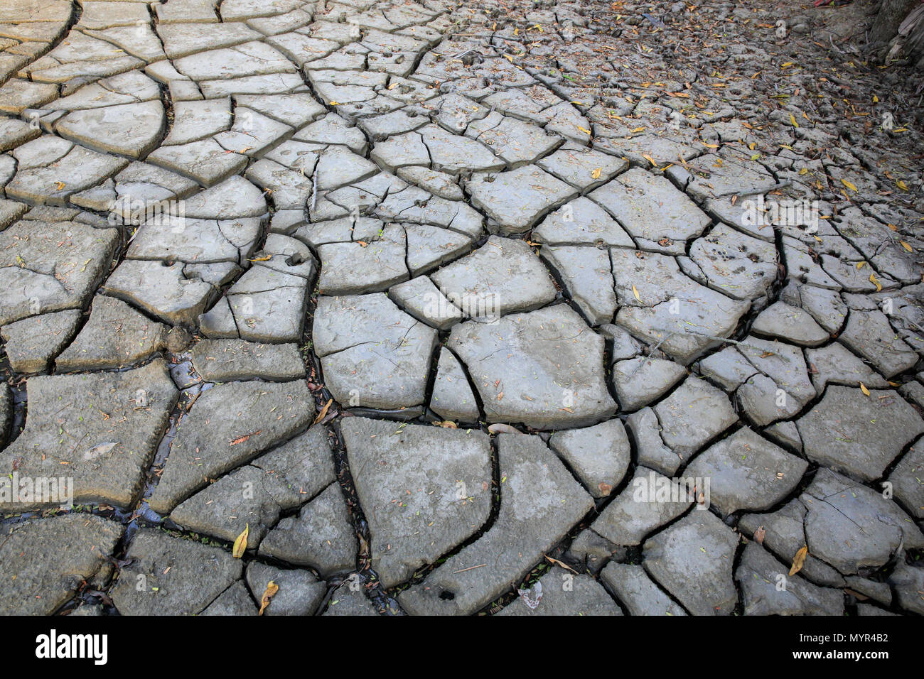 Rissige Erde von Dürre, Shyamnagar, Satkhira, Bangladesch Stockfoto