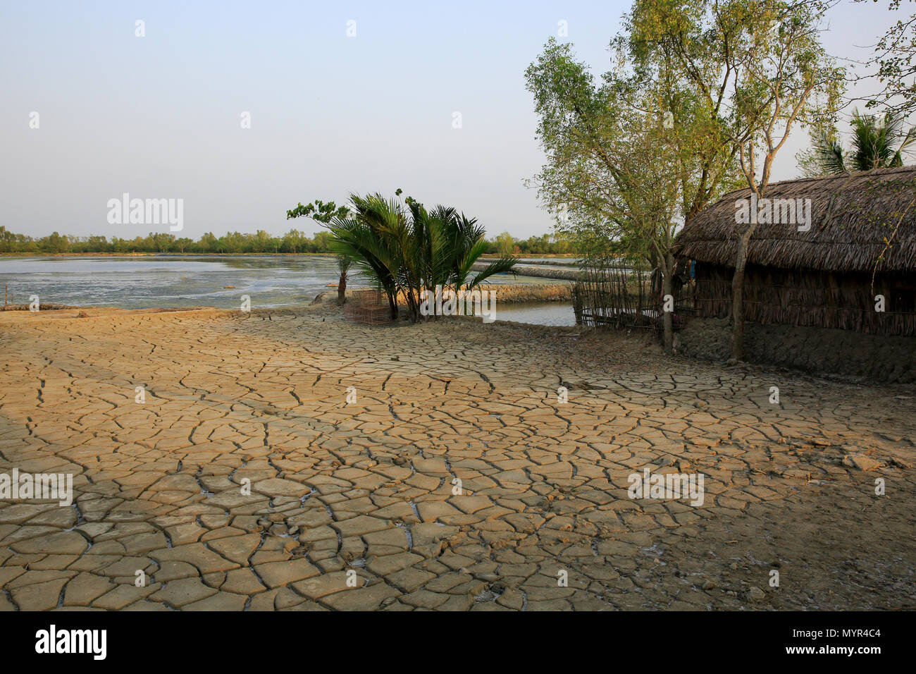 Rissige Erde von Dürre, Shyamnagar, Satkhira, Bangladesch Stockfoto