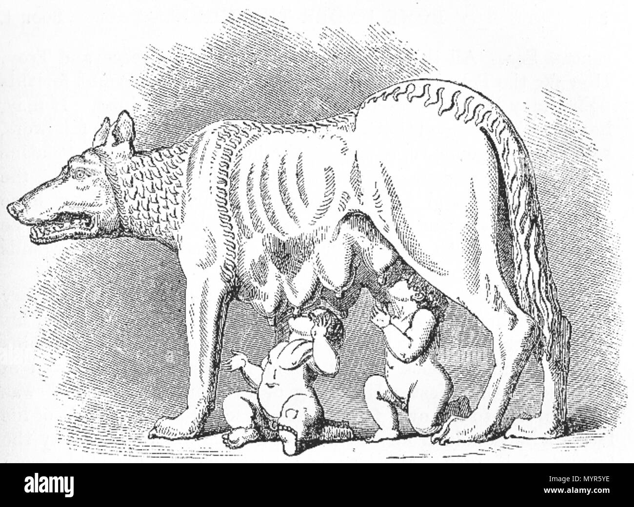 461 Rom Liddell 1860 Lupa Capitolina Stockfoto