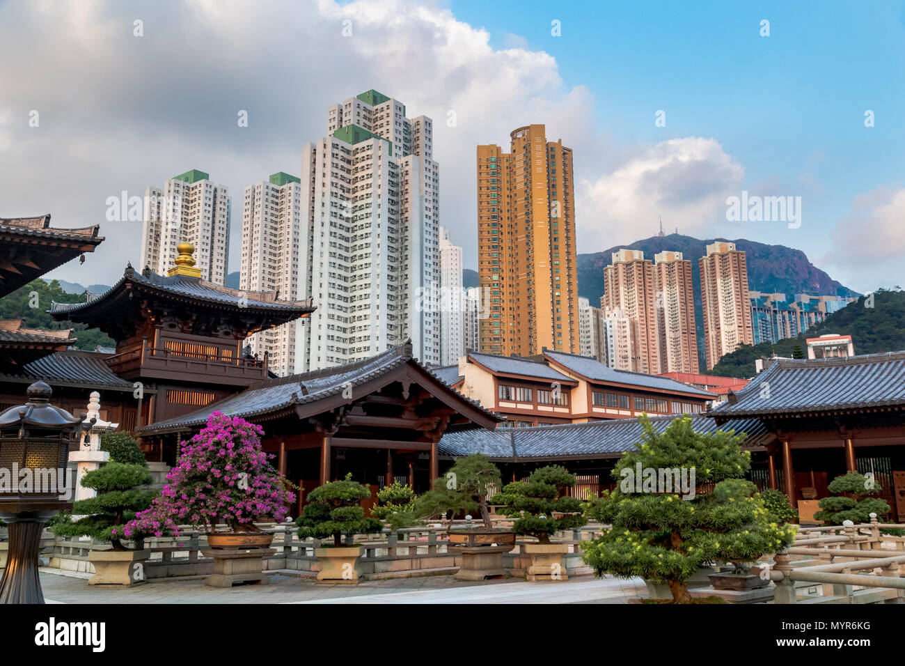 Innenhof des Chi Lin Nunnery in Nan Lian garden Hong Kong. In der Tang Dynastie Stil renoviert. Stockfoto