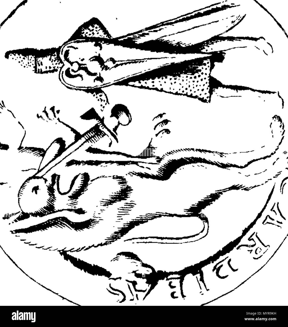 . Englisch: Fleuron aus Buch: Ein Essay zu einer topographischen Geschichte der Grafschaft Norfolk, mit der Beschreibung der Städte, Dörfer und Weiler,... Von Francis Blomefield, ... und fuhr fort, ab Seite 678, von Vol. III. Durch ... Charles Parkin,... 328 Ein Versuch in Richtung auf eine topographische Geschichte der Grafschaft Norfolk Fleuron T 125742-9 Stockfoto