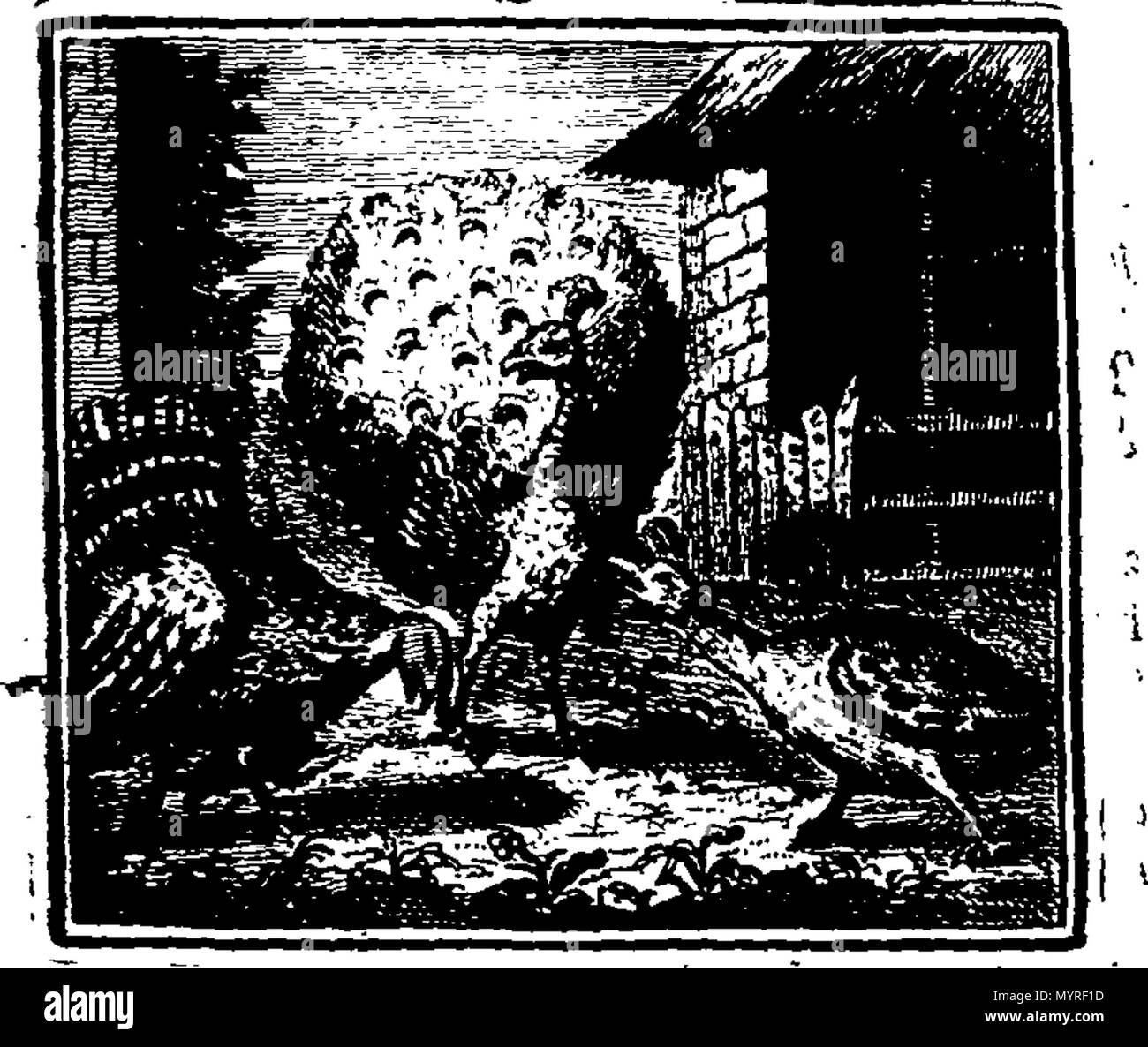 . Englisch: Fleuron aus Buch: Eine Einführung in die Englische Sprache: Als die Rechtschreibung. In zwei Teile. Die erste, bestehend aus Tabellen mit den Worten von eins bis sieben Silben, in eine natürliche und einfache Bestellung entsorgt, für Kinder zu buchstabieren zu lernen; sein Akzent falsche Aussprache zu verhindern. Die zweite, die Beobachtungen auf die Töne der Buchstaben, Konsonanten, Vokale und Diphthonge: Anfahrt Für die wahre Aufteilung der Silben; die Verwendung von Großbuchstaben, Haltestellen, Markierungen, und verschiedene andere Verwendung von Tabellen, für die Verwendung von Wer würde ein reifer Urteil erreichen. Die zweite Ausgabe, korrigiert Stockfoto