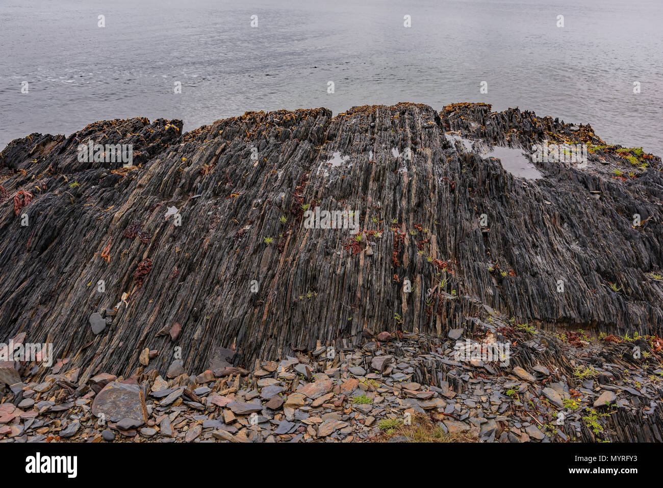 Stürmisches Wetter an Öfen, Öfen Straße, Riverport, Nova Scotia, Kanada Stockfoto