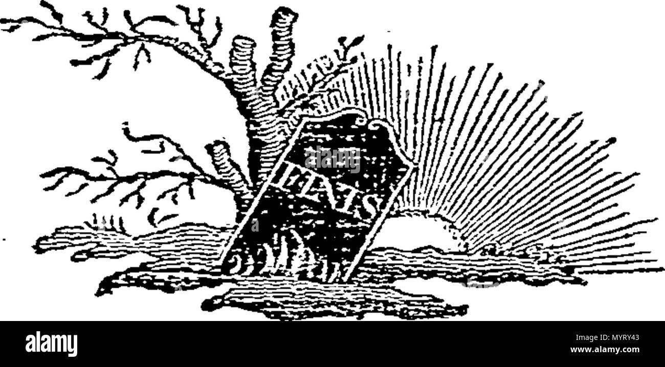 . Englisch: Fleuron aus Buch: eine Rede, in Hingham, in Übereinstimmung mit dem Antrag der Anzahl der Einwohner, am Samstag, den 22. Februar 1800 geliefert, der Jahrestag der Geburt, und der Tag, die von der Regierung der Vereinigten Staaten ernannt, für öffentliche nationale Trauer für die DEAT des Vaters seines Landes, und Freund der Menschheit, General George Washington. Von Henry Maurice Lisle, Rechtsanwalt. 352 Eine Rede Fleuron W 028744-4 Stockfoto