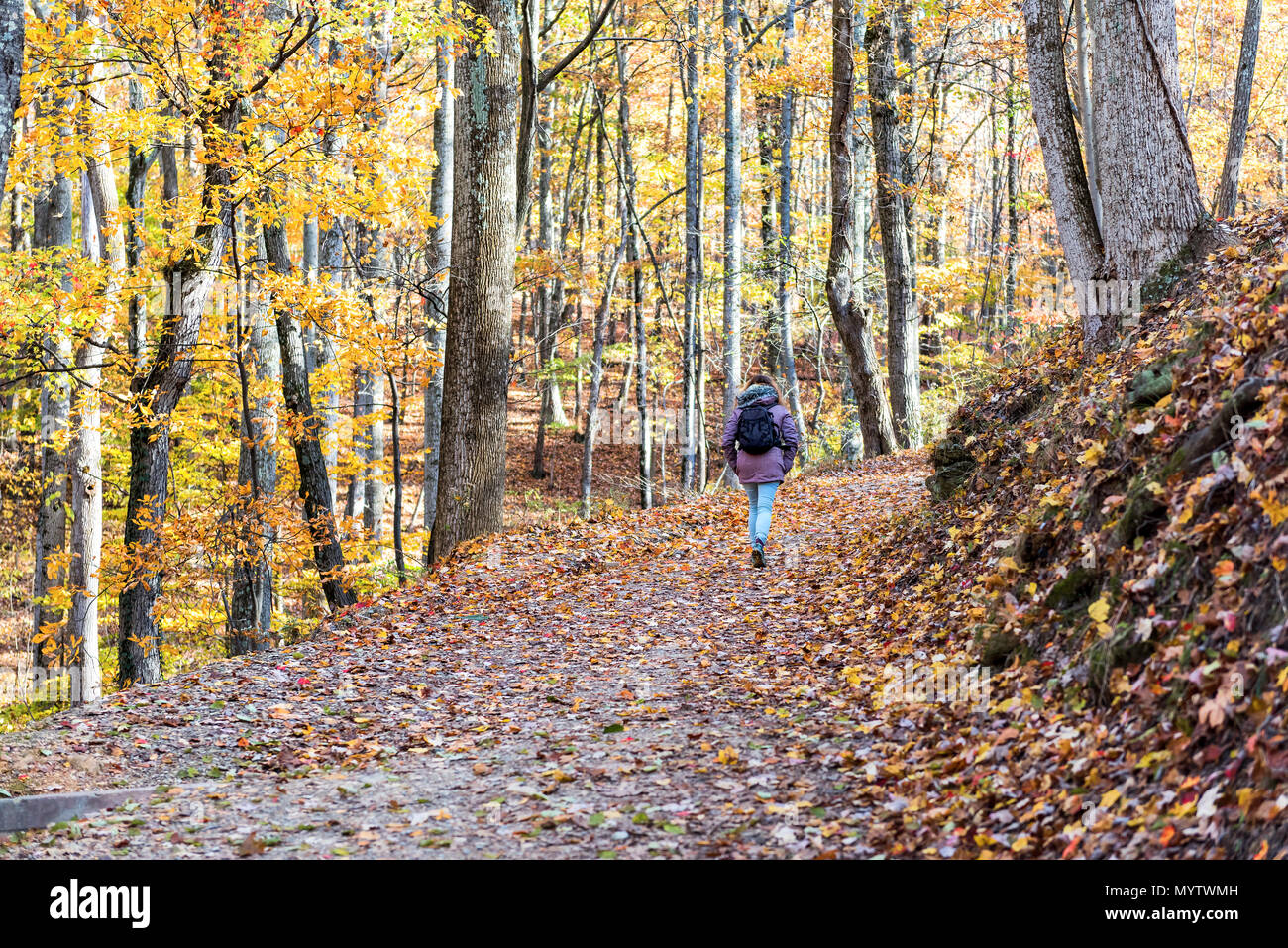 Wanderweg in Harper's Ferry mit den Wanderer, junge Frau im kalten Mantel wandern durch bunte orange gelb Laub Herbst Herbst Wald mit vielen gefallen Stockfoto