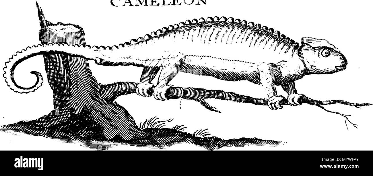 . Englisch: Fleuron aus Buch: Apparate Biblicus: oder, eine Einführung in die Heilige Schrift. In drei Büchern. Buch I. Über die Herkunft, Geschichte und Altertümer der Juden. Buch II. Der Canon, Autoren, Originaltexte, Versionen, Editionen und Interpretationen, &c. der Schriften. Buch III. Von den falschen Göttern, Tieren, Edelsteinen, Krankheiten, und Publick Sport, in der Heiligen Schrift erwähnt. Zusammen mit einer Erläuterung der biblischen Namen; und eine neue Methode der Lesung der Heiligen Schrift. In zwei Bänden. In Englisch von der Französischen, mit Anmerkungen und Ergänzungen. Illustriert mit 30 copp Stockfoto