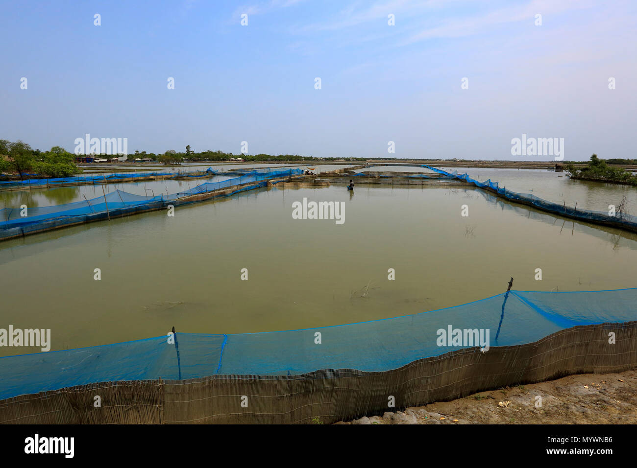 Anzeigen eines trockenen Aue bei Gabura union in Shyamnagar Upajila unter Satkhira Bezirk von Bangladesch. Zyklon Aila überflutet dieser Bereich im Jahr 2009, t Stockfoto