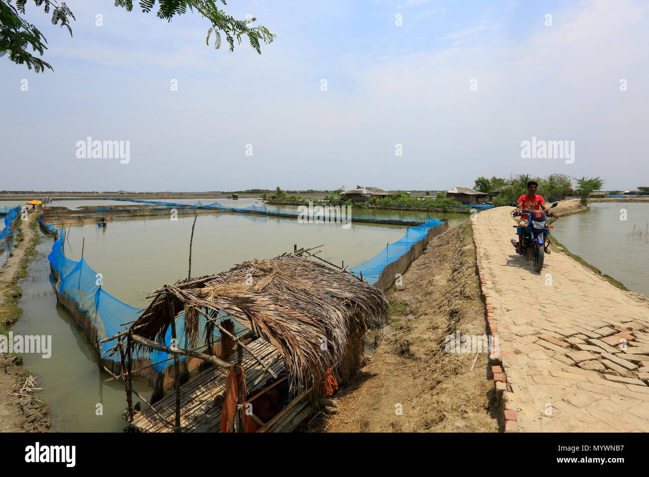 Anzeigen eines trockenen Aue bei Gabura union in Shyamnagar Upajila unter Satkhira Bezirk von Bangladesch. Zyklon Aila überflutet dieser Bereich im Jahr 2009, t Stockfoto