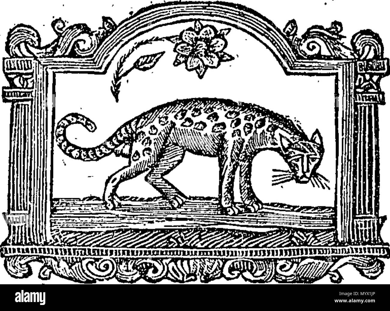 . Englisch: Fleuron aus Buch: Arthur Rothwell, Pro-fumer, Civet-cat und Rose. In New Bond Street, Lon-don. (Ehemals Lehrling, und spät in Partnerschaft mit Herrn James Smyth.) Macht und verkauft, ... alle Arten von Parfums, &c. 381 Arthur Rothwell, Pro-fumer, Civet-cat und Rose Fleuron T 225962-1 Stockfoto