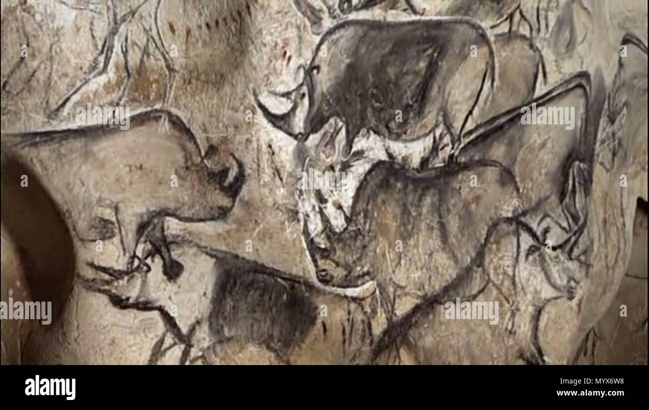 . Rhino Zeichnungen aus der Höhle von Chauvet. Etwa 30.000 bis 32.000 Jahren. Unbekannt 5 Rhinos Höhle Chauvet Stockfoto