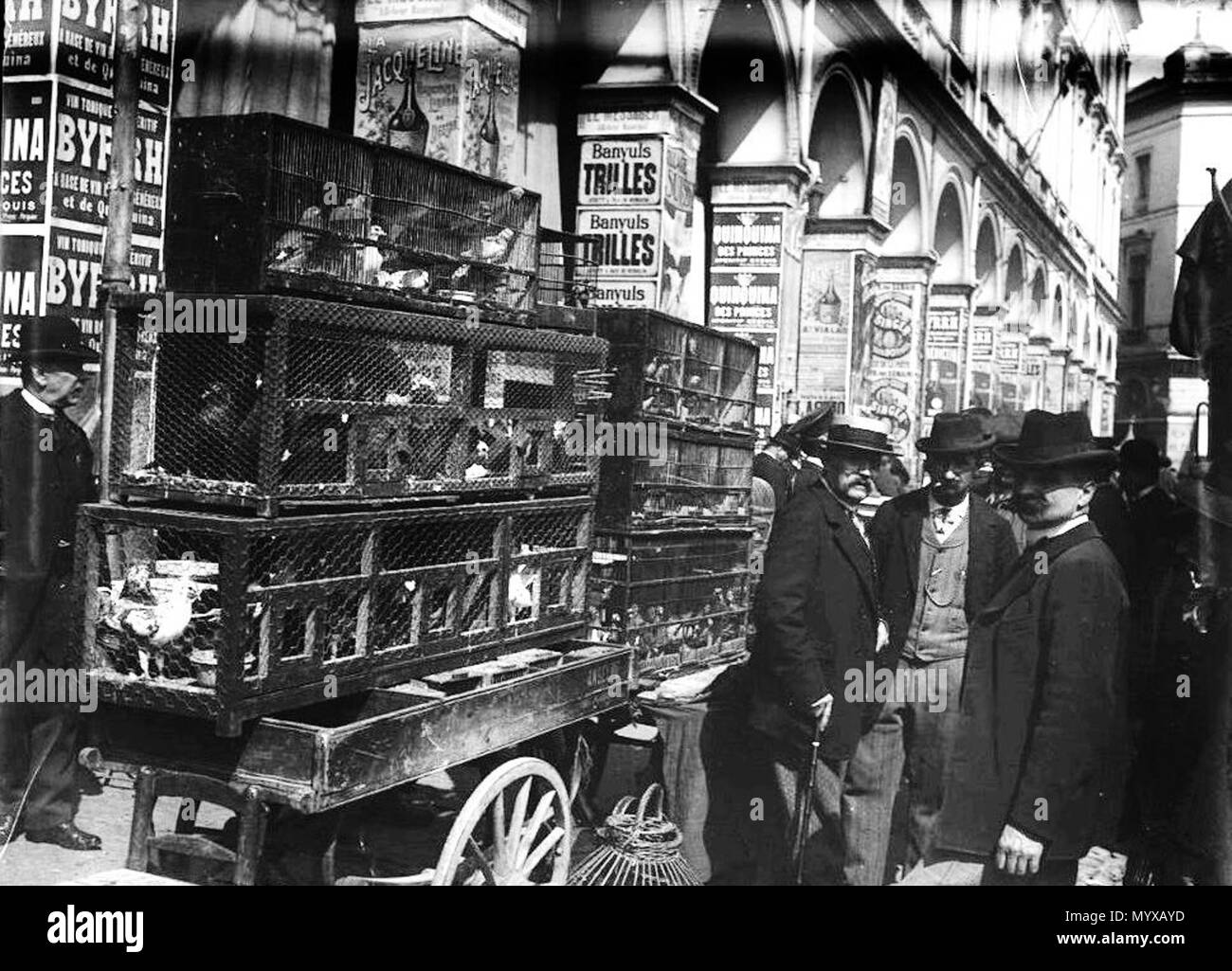 . "Toulouse: Capitole Marchands d'oiseaux 22 avril 1900 app. Zion pl. Jougla rose Ancienne". Französisch: Marchands d'oiseaux, Place du Capitole. 22 April 1900 5 22 avril 1900 - Arkaden de la Place du Capitole, des Marchands d'oiseaux Le 22 avril 1900 Stockfoto